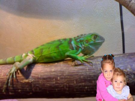 mes 2 filles