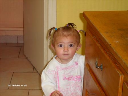 steffy